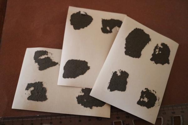 vier original Fotos Ritterkreuzverleihung Dr. phil. Hans Speidel 1944